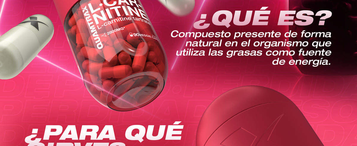 Contenido promocional 2
