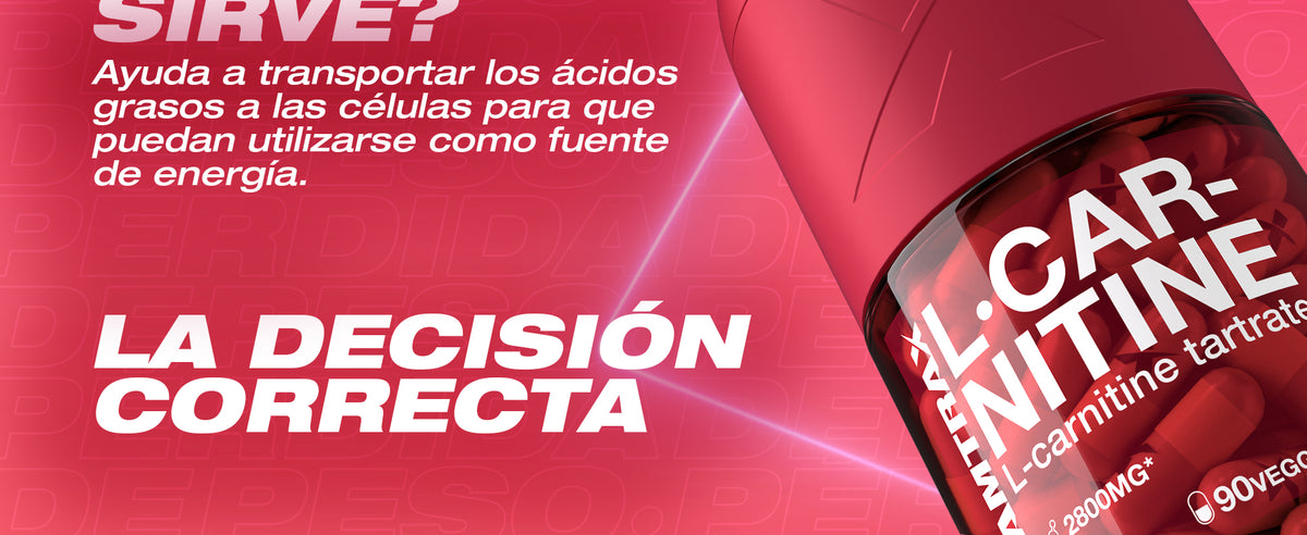Contenido promocional 3