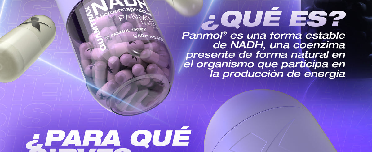 Contenido promocional 2