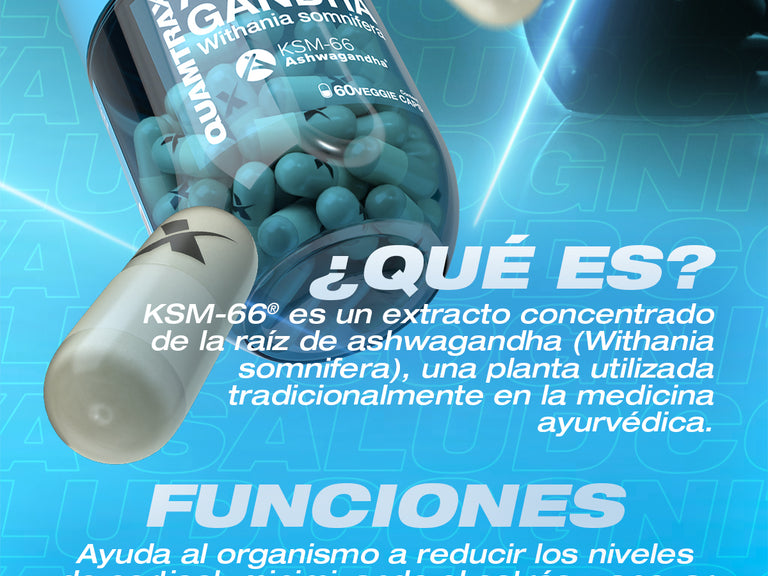 Contenido promocional móvil 2