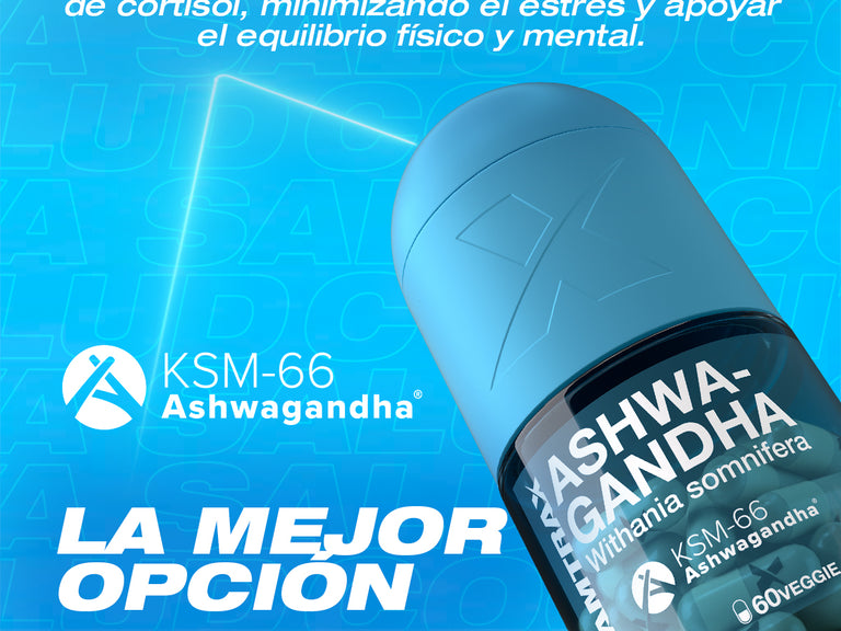 Contenido promocional móvil 3