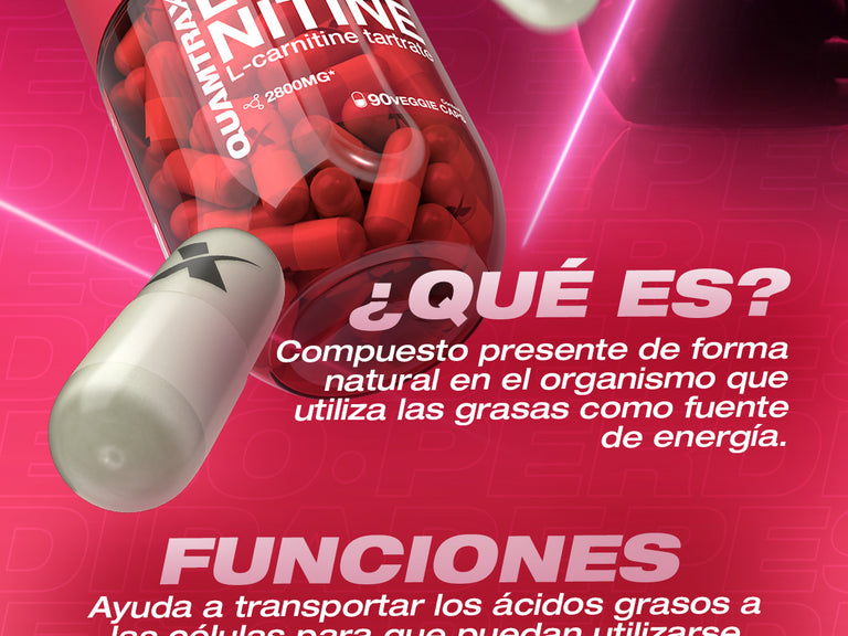 Contenido promocional móvil 2
