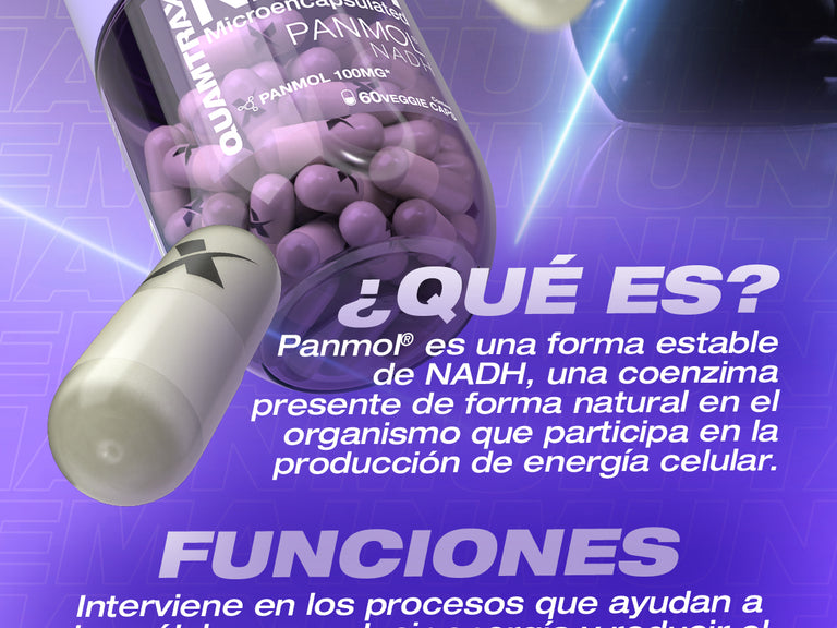 Contenido promocional móvil 2