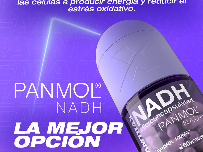 Contenido promocional móvil 3