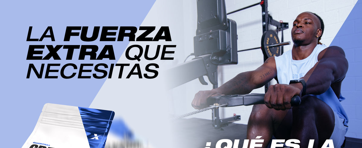 Contenido promocional 1