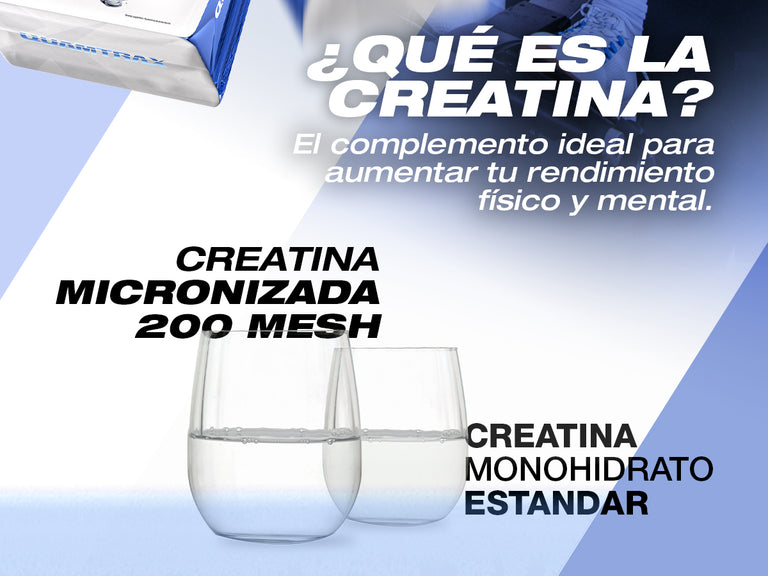 Contenido promocional móvil 2