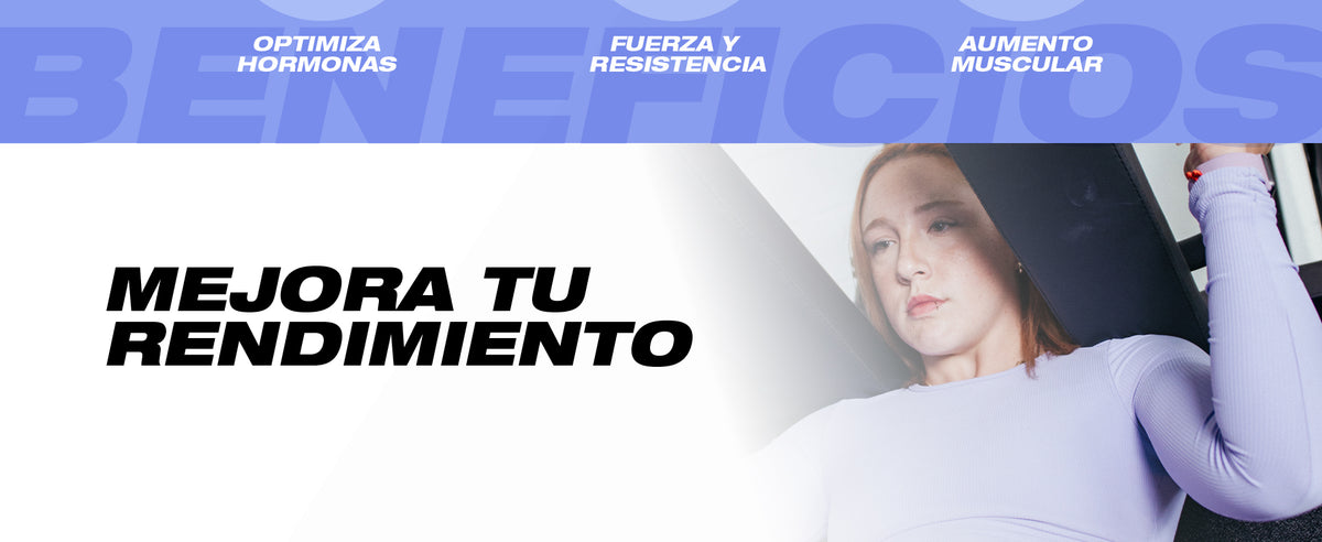 Contenido promocional 3