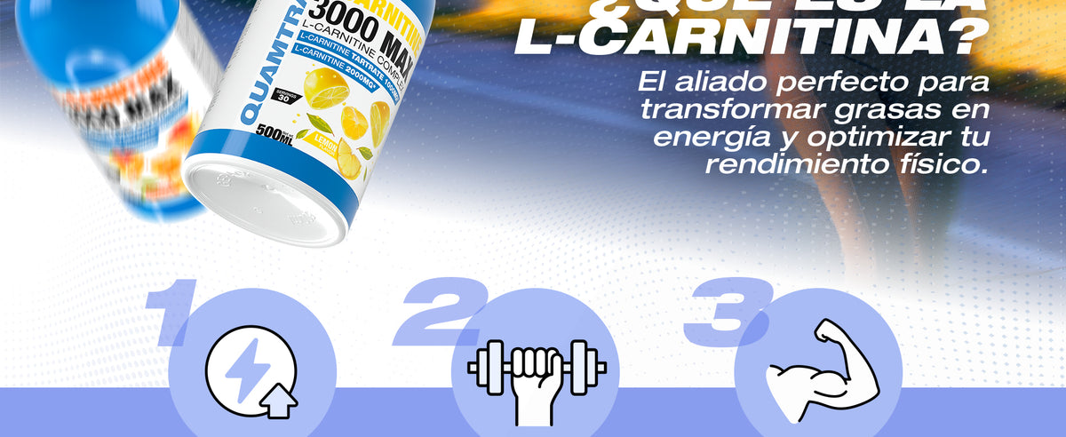 Contenido promocional 2