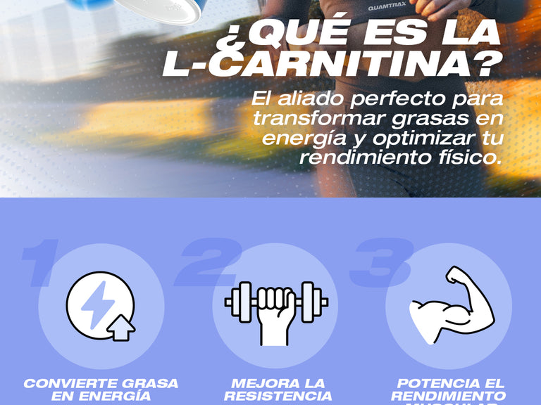 Contenido promocional móvil 2