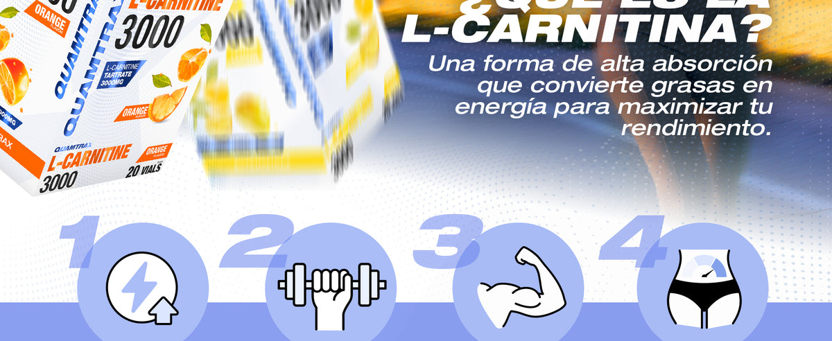 Contenido promocional 2