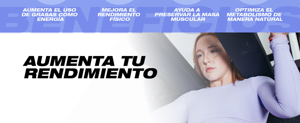 Contenido promocional 3
