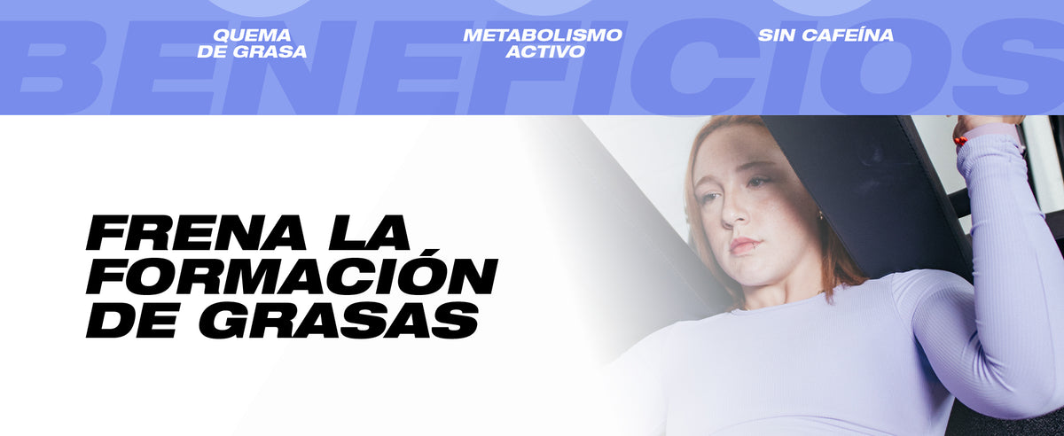 Contenido promocional 3