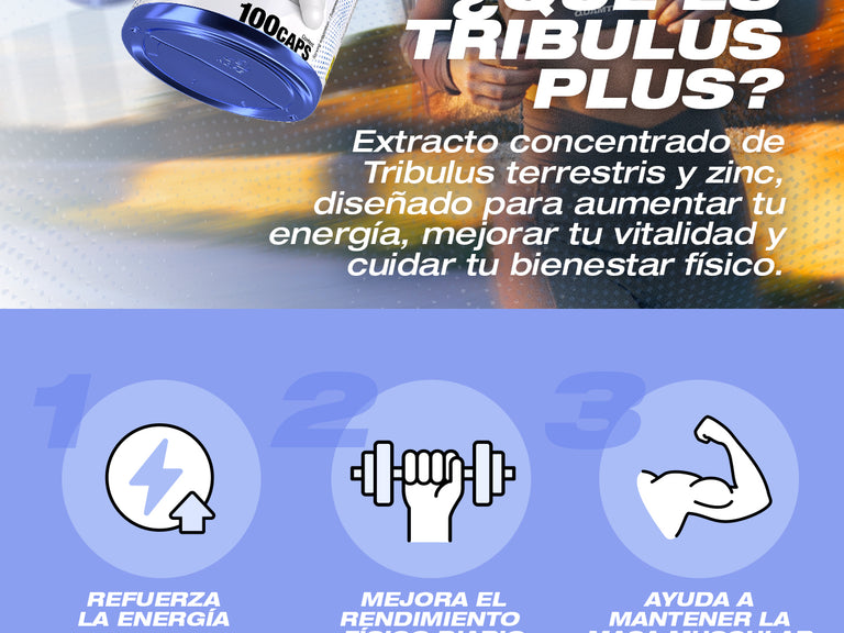 Contenido promocional móvil 2