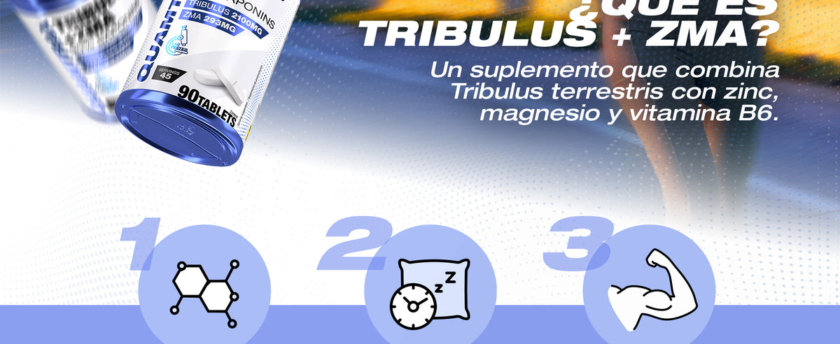Contenido promocional 2